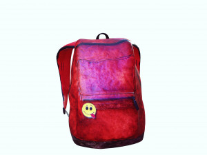 BACKPACK 3D MODEL 3D Baskı Modeli