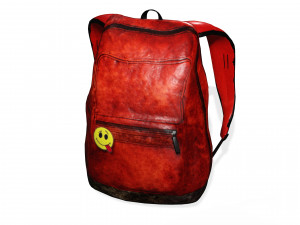 BACKPACK 3D MODEL 3D Baskı Modeli