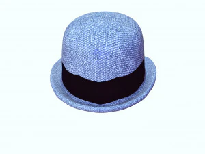HAT 3D MODEL 3D Print Model