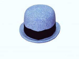 HAT 3D MODEL 3D Print Model