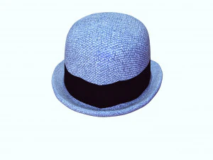 HAT 3D MODEL 3D Print Model