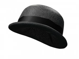 HAT 3D MODEL 3D Print Model