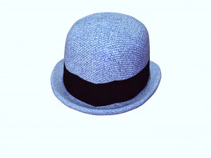 HAT 3D MODEL 3D Print Model