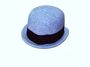 HAT 3D MODEL 3D Print Model