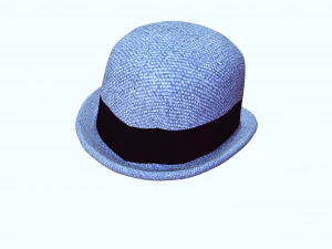 HAT 3D MODEL 3D Print Model