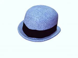 HAT 3D MODEL 3D Print Model