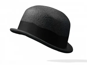 HAT 3D MODEL 3D Print Model