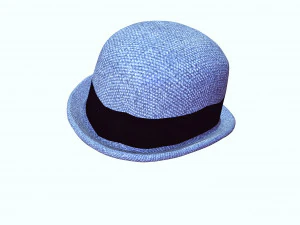 HAT 3D MODEL 3D Print Model