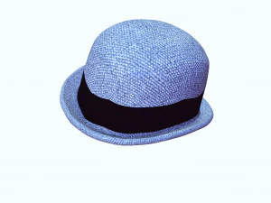 HAT 3D MODEL 3D Print Model