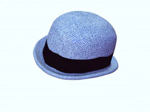 HAT 3D MODEL 3D Print Model