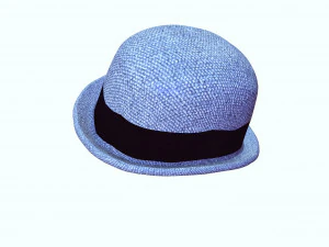 HAT 3D MODEL 3D Print Model