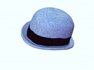 HAT 3D MODEL 3D Print Model
