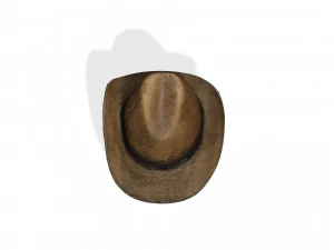 GOOD HAT 3D MODEL 3D Print Model