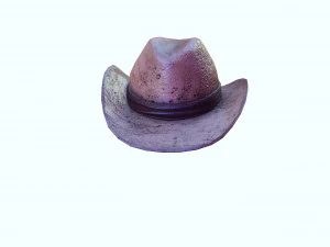 GOOD HAT 3D MODEL 3D Print Model