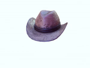 GOOD HAT 3D MODEL 3D Print Model