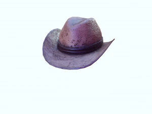 GOOD HAT 3D MODEL 3D Print Model