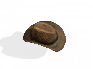 GOOD HAT 3D MODEL 3D Print Model