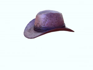 GOOD HAT 3D MODEL 3D Print Model