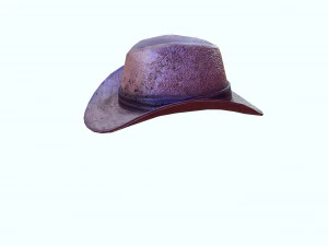GOOD HAT 3D MODEL 3D Print Model