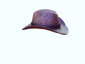 GOOD HAT 3D MODEL 3D Print Model