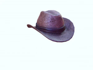 GOOD HAT 3D MODEL 3D Print Model