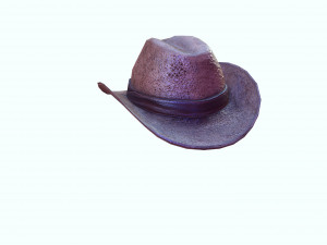 GOOD HAT 3D MODEL Model Cetak 3D
