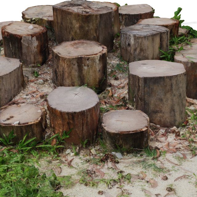 CUTTED TREES 3D MODEL - OBJ - FBX - 3D PRINTING - 3D PROJECT - GAME READY Modèle 3D .c4d .max .obj .3ds .fbx .stl .blend 