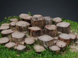 CUTTED TREES 3D MODEL - OBJ - FBX - 3D PRINTING - 3D PROJECT - GAME READY Modèle 3D