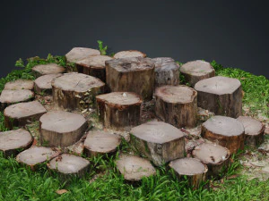 CUTTED TREES 3D MODEL - OBJ - FBX - 3D PRINTING - 3D PROJECT - GAME READY 3D Model