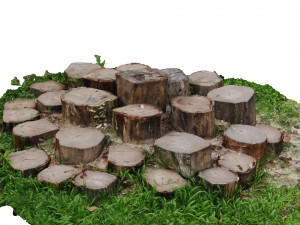 CUTTED TREES 3D MODEL - OBJ - FBX - 3D PRINTING - 3D PROJECT - GAME READY Modèle 3D