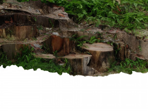 CUTTED TREES 3D MODEL - OBJ - FBX - 3D PRINTING - 3D PROJECT - GAME READY Modèle 3D