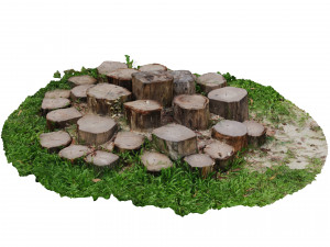 CUTTED TREES 3D MODEL - OBJ - FBX - 3D PRINTING - 3D PROJECT - GAME READY Modèle 3D