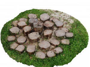CUTTED TREES 3D MODEL - OBJ - FBX - 3D PRINTING - 3D PROJECT - GAME READY 3D Model