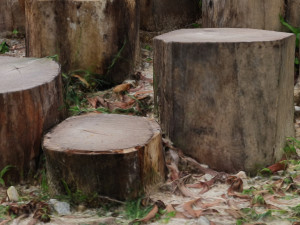CUTTED TREES 3D MODEL - OBJ - FBX - 3D PRINTING - 3D PROJECT - GAME READY Modèle 3D