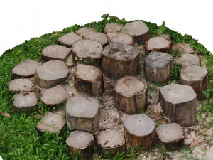 CUTTED TREES 3D MODEL - OBJ - FBX - 3D PRINTING - 3D PROJECT - GAME READY 3D Model