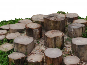 CUTTED TREES 3D MODEL - OBJ - FBX - 3D PRINTING - 3D PROJECT - GAME READY 3D Model