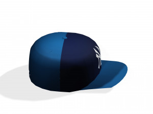 CAP 3D MODEL - OBJ - FBX - 3D PRINTING - 3D PROJECT - GAME READY 3D Model