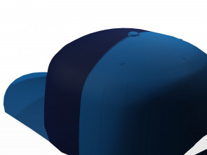 CAP 3D MODEL - OBJ - FBX - 3D PRINTING - 3D PROJECT - GAME READY 3D Model