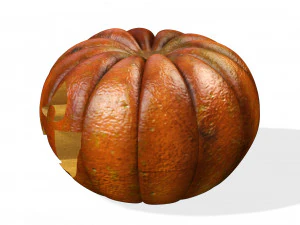 PUMPKIN FOR HALLOWEEN 3D MODEL - OBJ - FBX - 3D PRINTING - HALLOWEEN - PUMPKIN 3D Model