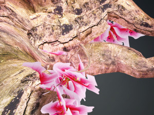 MAGIC TREE 3D MODEL - OBJ - FBX - 3D PRINTING - TREE HD - TREE MAGIC 3D Model