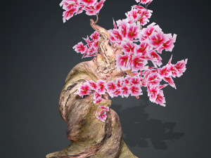 MAGIC TREE 3D MODEL - OBJ - FBX - 3D PRINTING - TREE HD - TREE MAGIC 3D Model