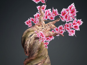MAGIC TREE 3D MODEL - OBJ - FBX - 3D PRINTING - TREE HD - TREE MAGIC 3D Model