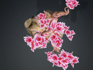 MAGIC TREE 3D MODEL - OBJ - FBX - 3D PRINTING - TREE HD - TREE MAGIC 3D Model