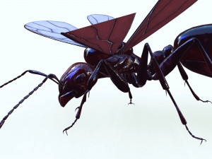 ANT 3D Model