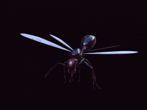 ANT 3D Model