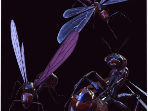 ANT 3D Model