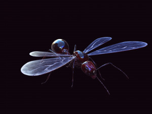 ANT 3D Model