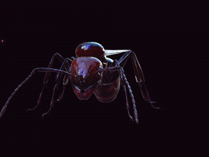 ANT 3D Model