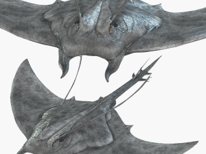 MANTA RAY - SEA MANTA RAY 3Dモデル