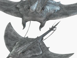 マンタ - シーマンタ 3Dモデル